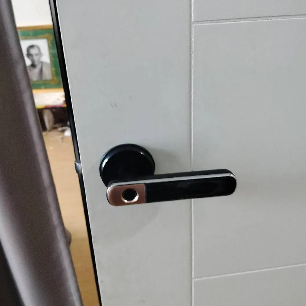 กลอนประตูดิจิตอล WoodyLock รุ่นก้านโยก